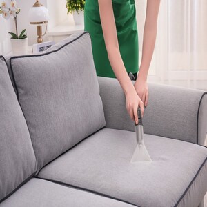 Sofa Cleaning Services Paradise Part